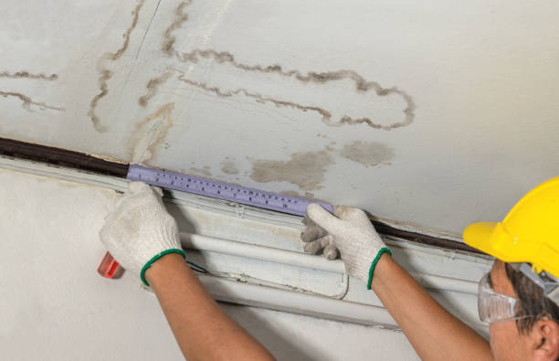 Reliable Mold Remediation contractor in Seabrook, TX by Local Water Damage Repair